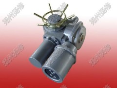 機電一體化開關(guān)型執(zhí)行器DZW20-24-A0