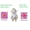 孝感哪里有供應價位合理的特價商品平臺男鞋——特價商品平臺男鞋價格如何
