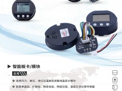 皖科智能攜帶攜帶智能板卡及智能模塊產(chǎn)品入駐《儀表與測(cè)量控制》2021年第5期之物聯(lián)網(wǎng)及傳感器展特刊