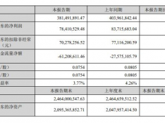 三川智慧上半年凈利潤7841.05萬，同比下降6.34%